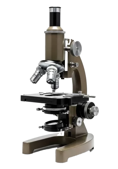 Imagen PNG para descargar